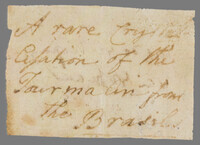 L 02594
<br/>
Label met opschrift
<br/>
<em></em>
